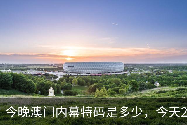 今晚澳门内幕特码是多少，今天297期特码资料是多少每日分享