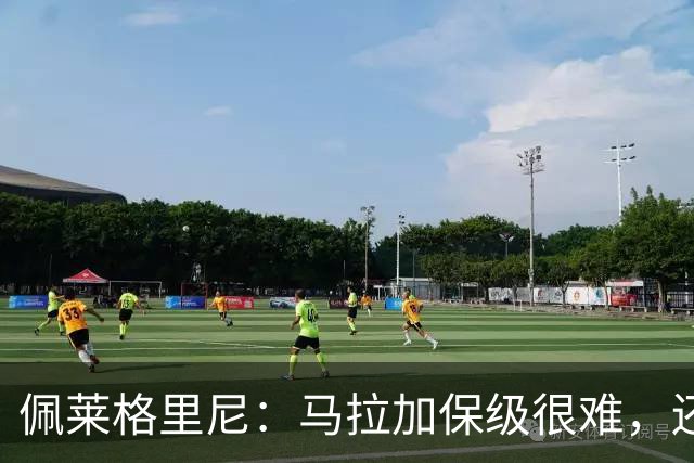 佩莱格里尼：马拉加保级很难，还需更多经验