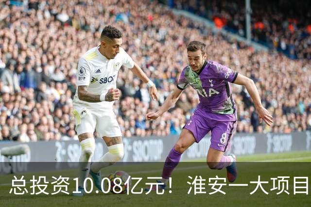 总投资10.08亿元！淮安一大项目12月底投产