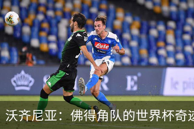 沃齐尼亚：佛得角队的世界杯奇迹属于所有球员，并不仅仅是我