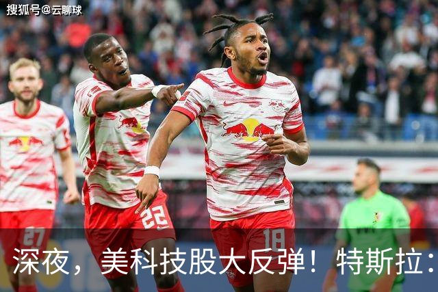 深夜，美科技股大反弹！特斯拉：马斯克去年实际薪酬为“0”！