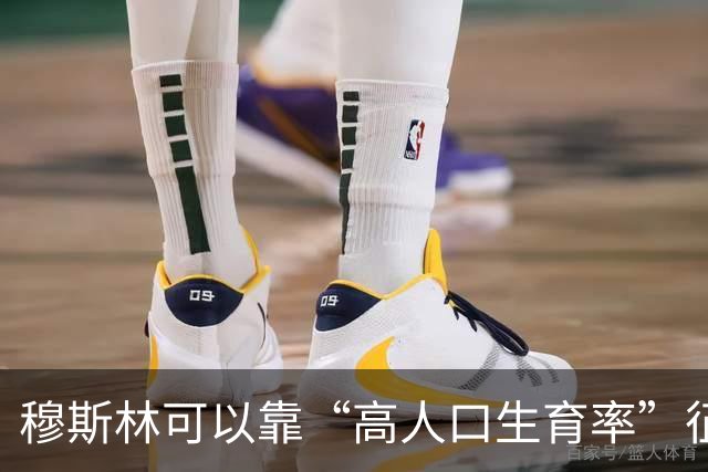 穆斯林可以靠“高人口生育率”征服世界？这种观点很无知