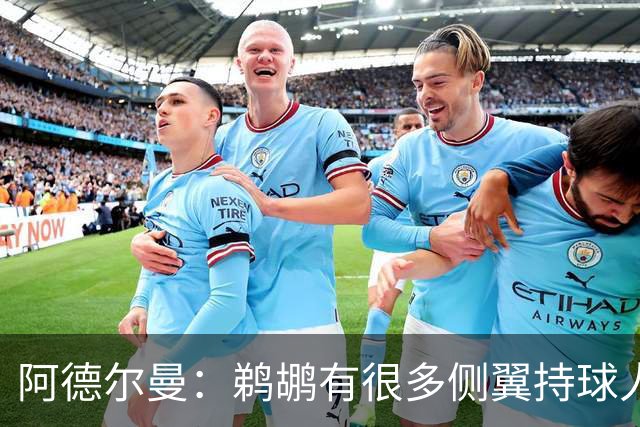 阿德尔曼：鹈鹕有很多侧翼持球人 惠尔摩尔上场会对我们有帮助