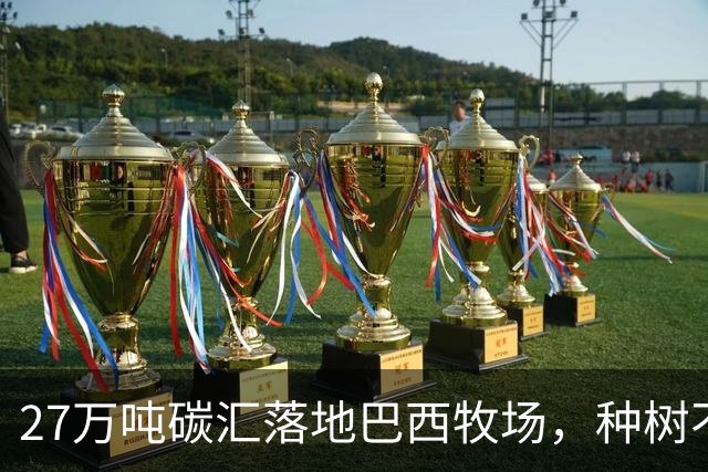 27万吨碳汇落地巴西牧场，种树不赶牛还能多一份收入