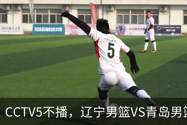CCTV5不播，辽宁男篮VS青岛男篮，张陈治锋PK米奇，库珀成胜负手！